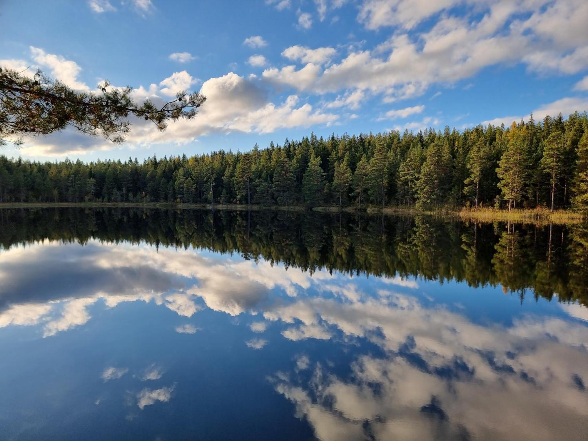 Sunne Stugcenter 12 Villa Gräsmark Kültér fotó
